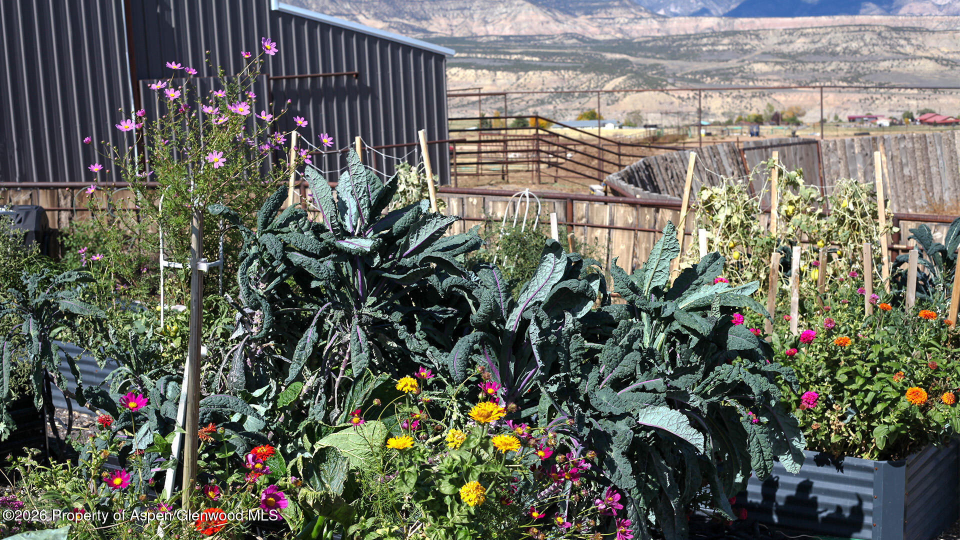8877 County Road 320 Rifle, CO 81650 - Photo 16 of 51 a picture of flowers