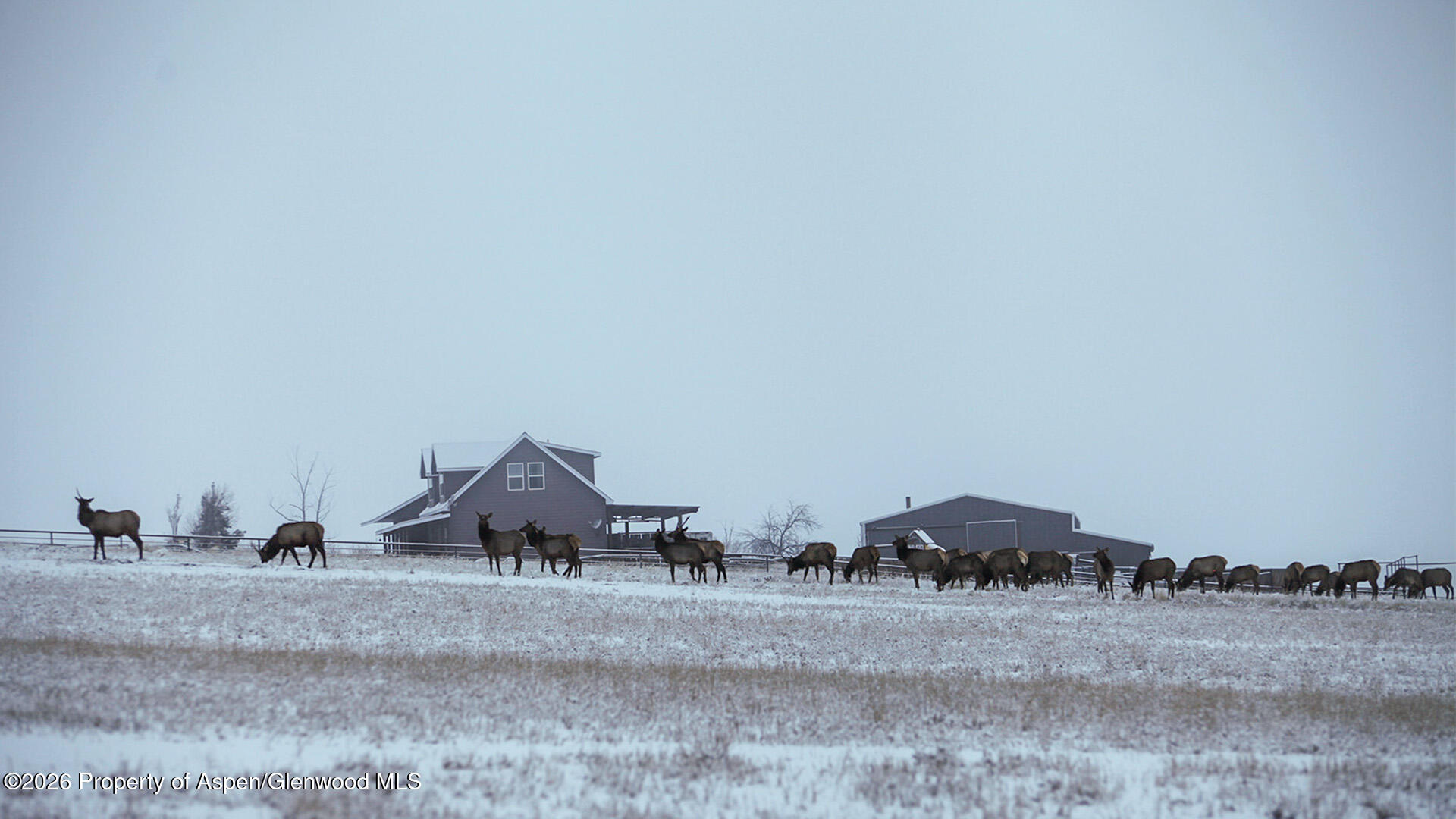 8877 County Road 320 Rifle, CO 81650 - Photo 51 of 51 a view of a dry yard with wooden fence