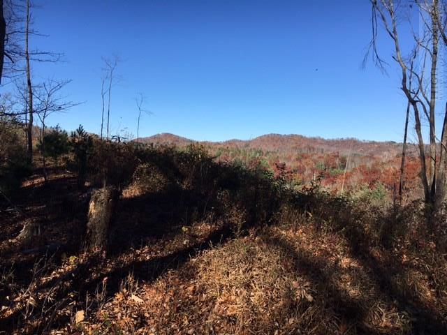 Deer Hollow Road Lansing, NC 28643 - Photo 1 of 11 Gallery Image 1