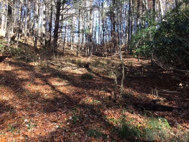 Deer Hollow Road Lansing, NC 28643 - Photo 11 of 11 Gallery Image 11