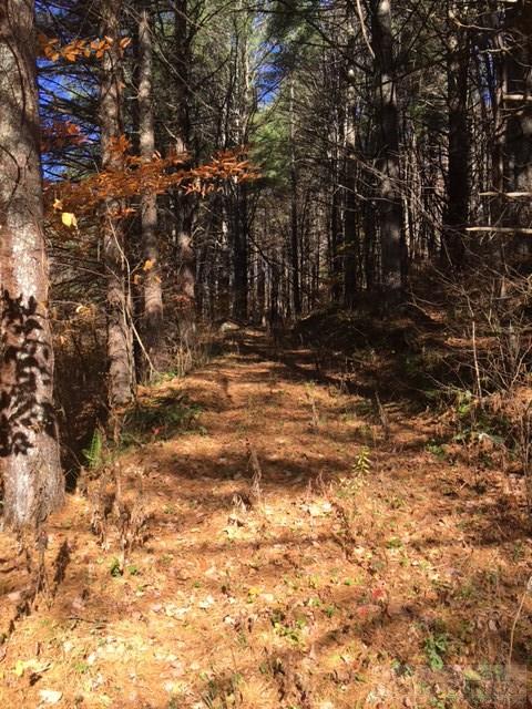 Deer Hollow Road Lansing, NC 28643 - Photo 2 of 11 Gallery Image 2
