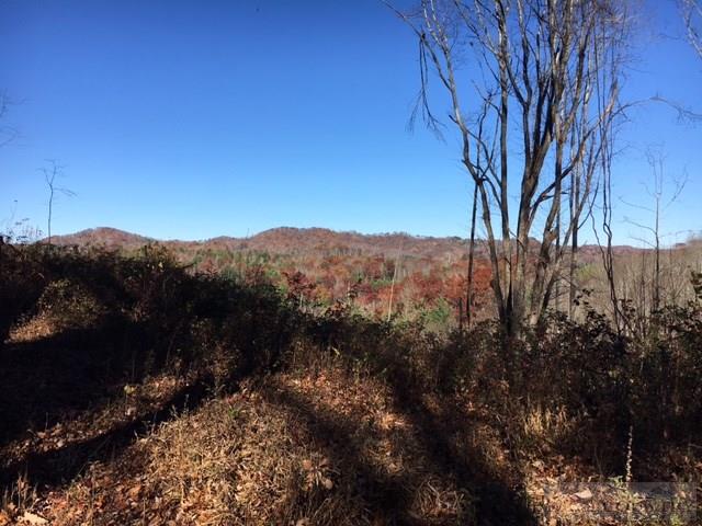 Deer Hollow Road Lansing, NC 28643 - Photo 3 of 11 Gallery Image 3