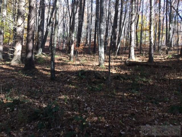 Deer Hollow Road Lansing, NC 28643 - Photo 4 of 11 Gallery Image 4