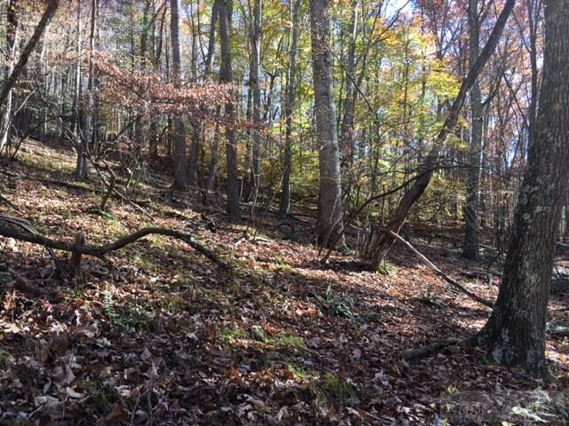 Deer Hollow Road Lansing, NC 28643 - Photo 5 of 11 Gallery Image 5