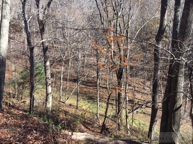 Deer Hollow Road Lansing, NC 28643 - Photo 7 of 11 Gallery Image 7