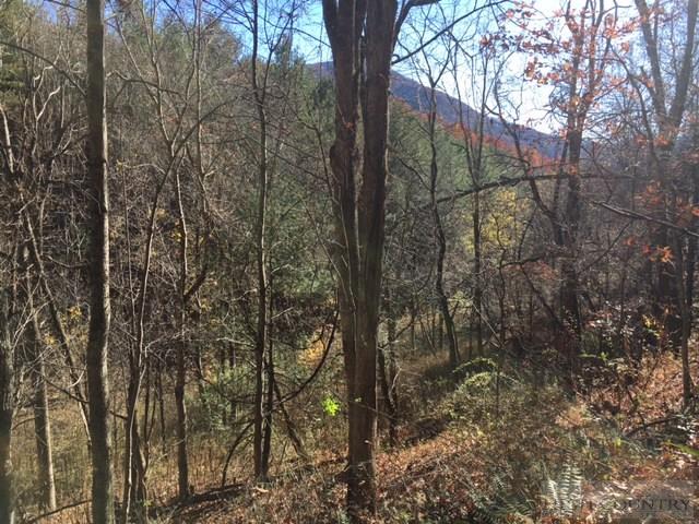 Deer Hollow Road Lansing, NC 28643 - Photo 8 of 11 Gallery Image 8