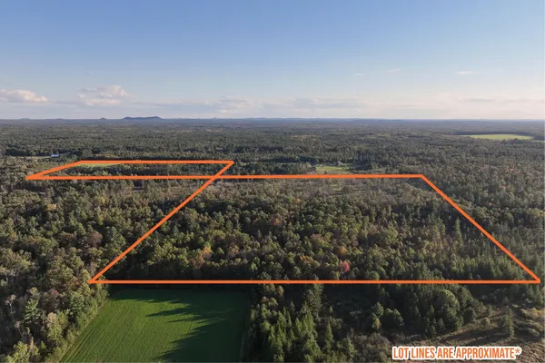 $329,900 | 81-acres Anderson Road, Neillsville, WI 54456