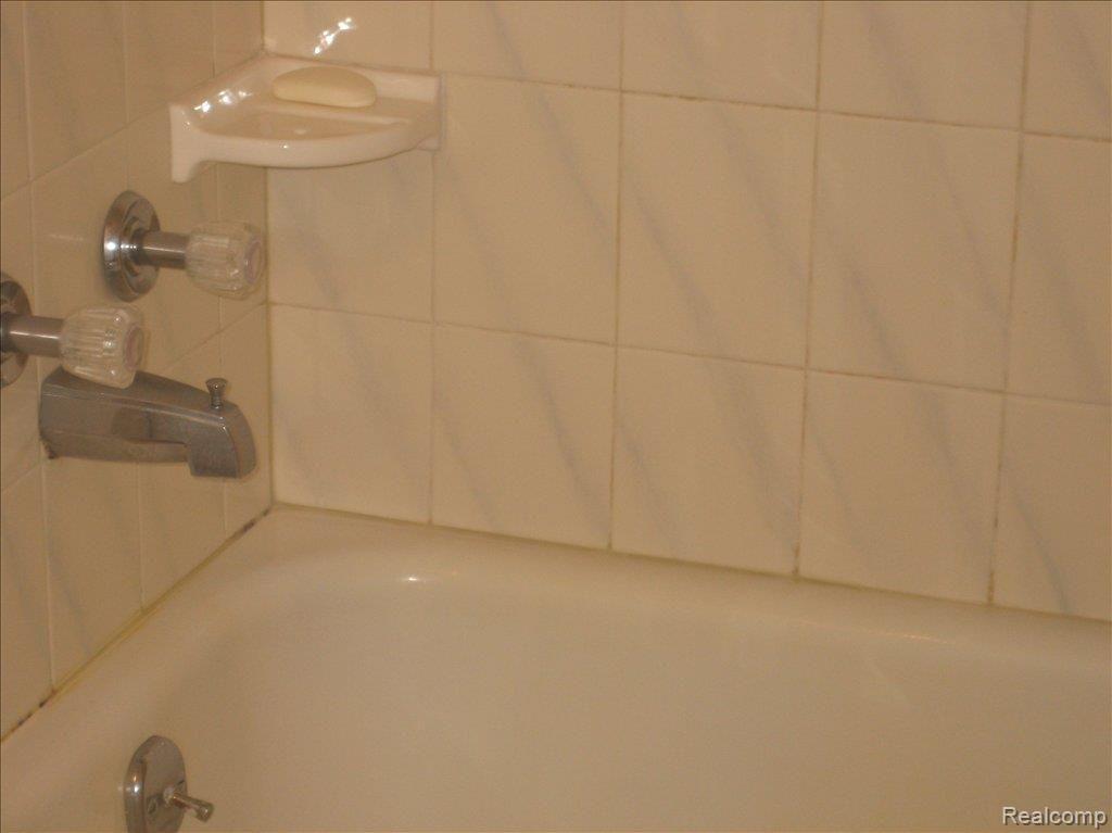 2105 Bowman Road Imlay City, MI 48444 - Photo 11 of 11 2105 Bowman Master Bath