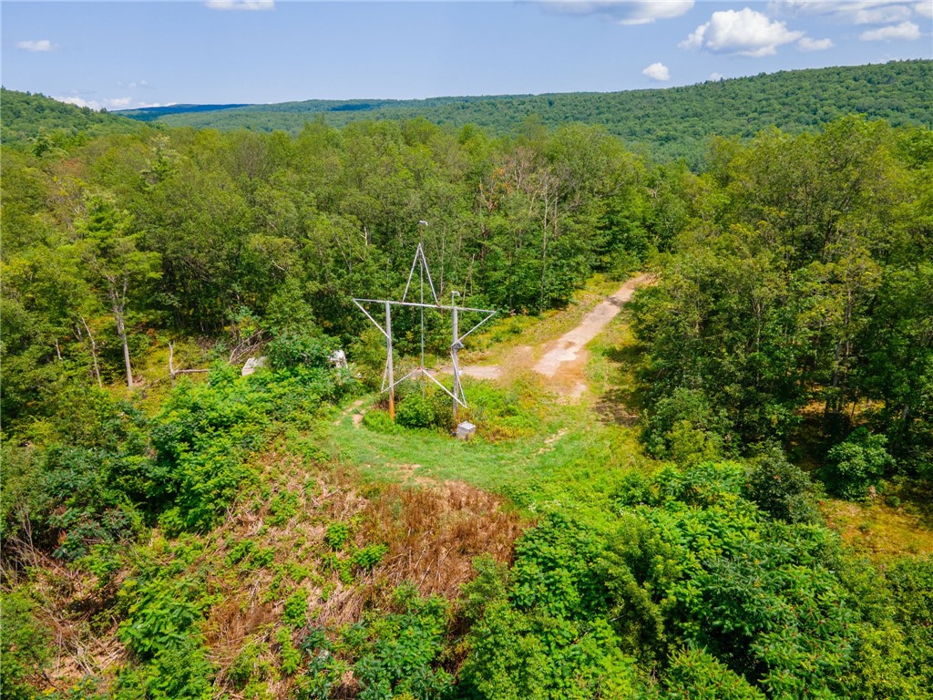 L16 MT Path Middleburgh, NY 12122 - Photo 22 of 29