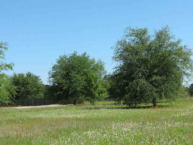20832 Dubose Road Summerdale, AL 36580 - Photo 1 of 1