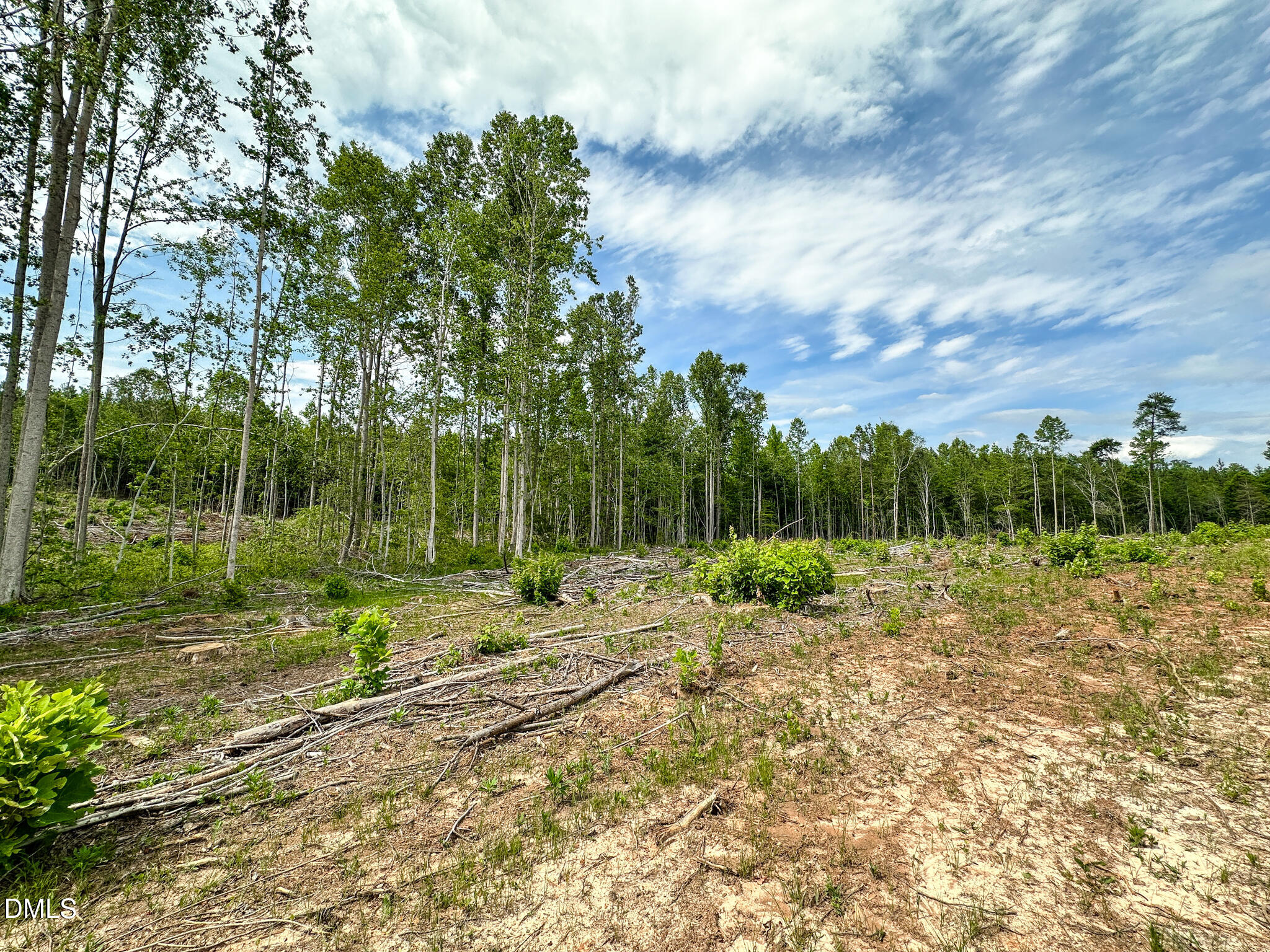 0 Baltimore Road Warrenton, NC 27589 - Photo 6 of 13