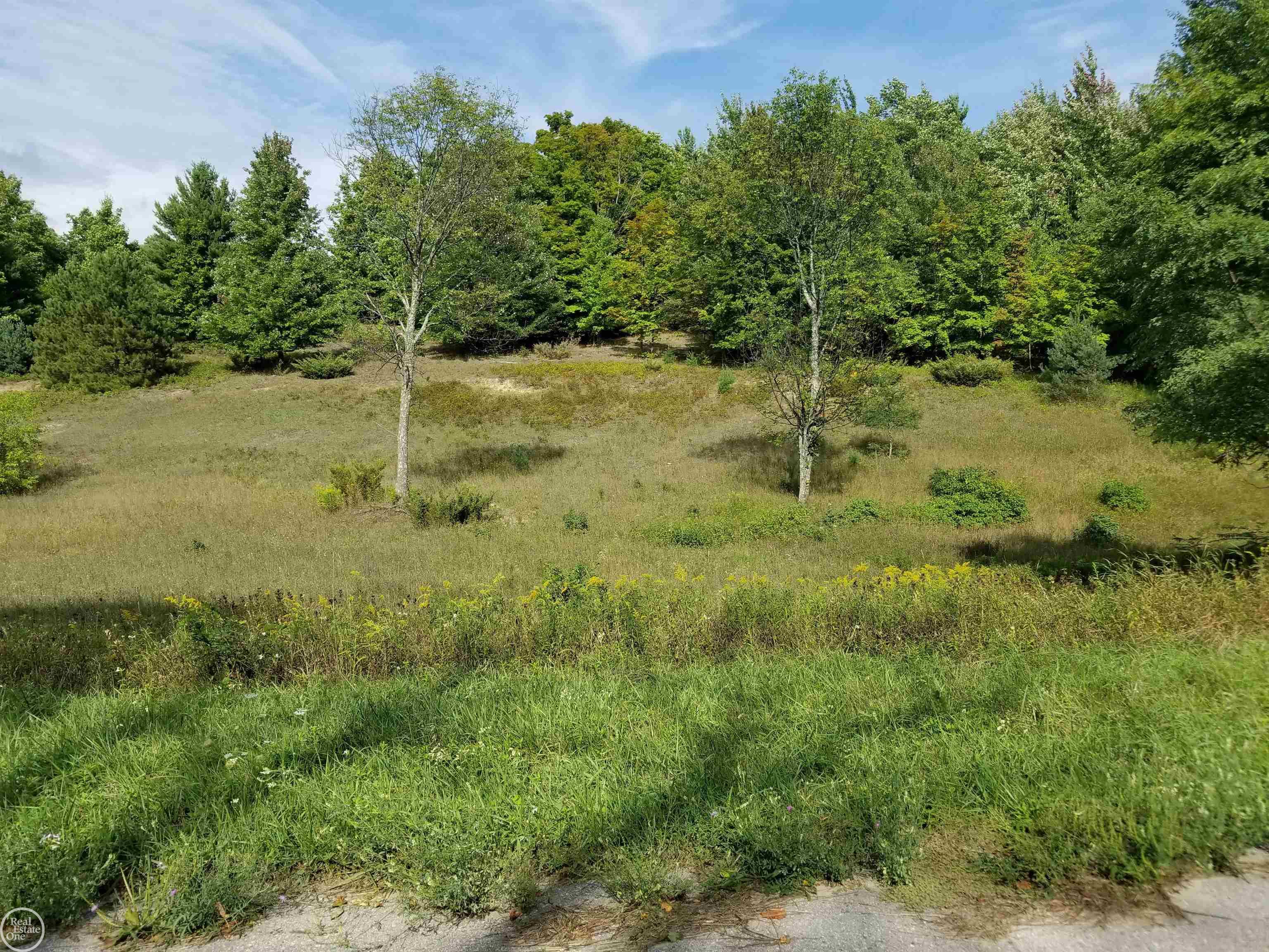 South Fritz Road Maple City, MI 49664 - Photo 1 of 14