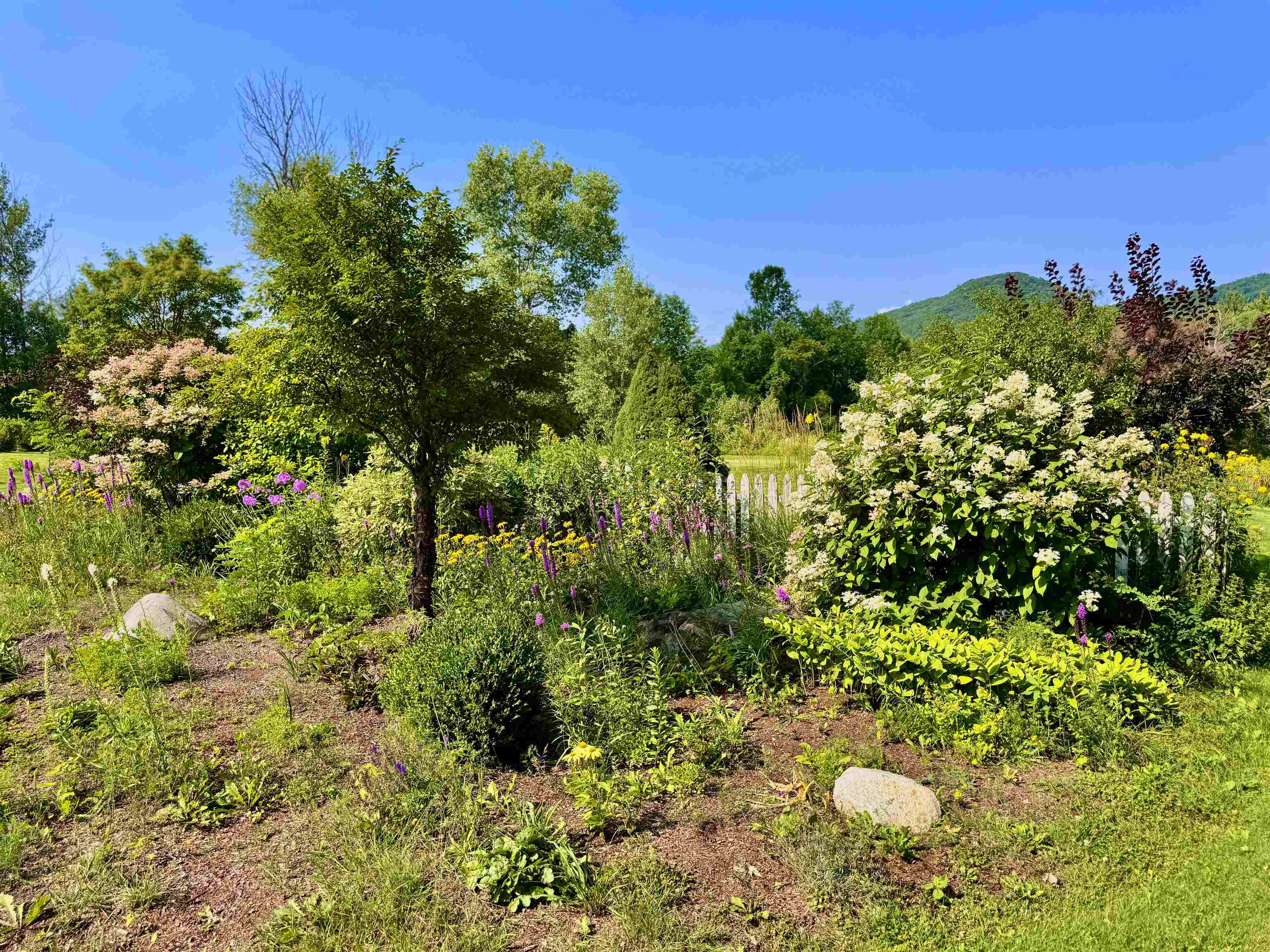 355 Websterville Road Barre Town, VT 05649 - Photo 44 of 56 Gallery Image 44