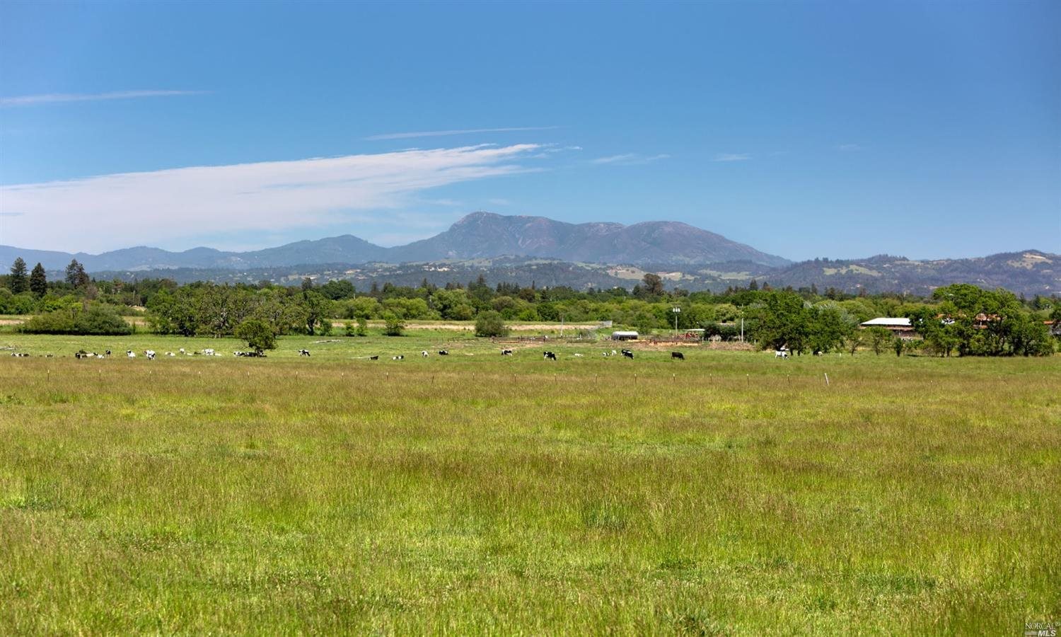 5743 Hall Road Santa Rosa, CA 95401 - Photo 1 of 1 a view of an outdoor space and mountain view