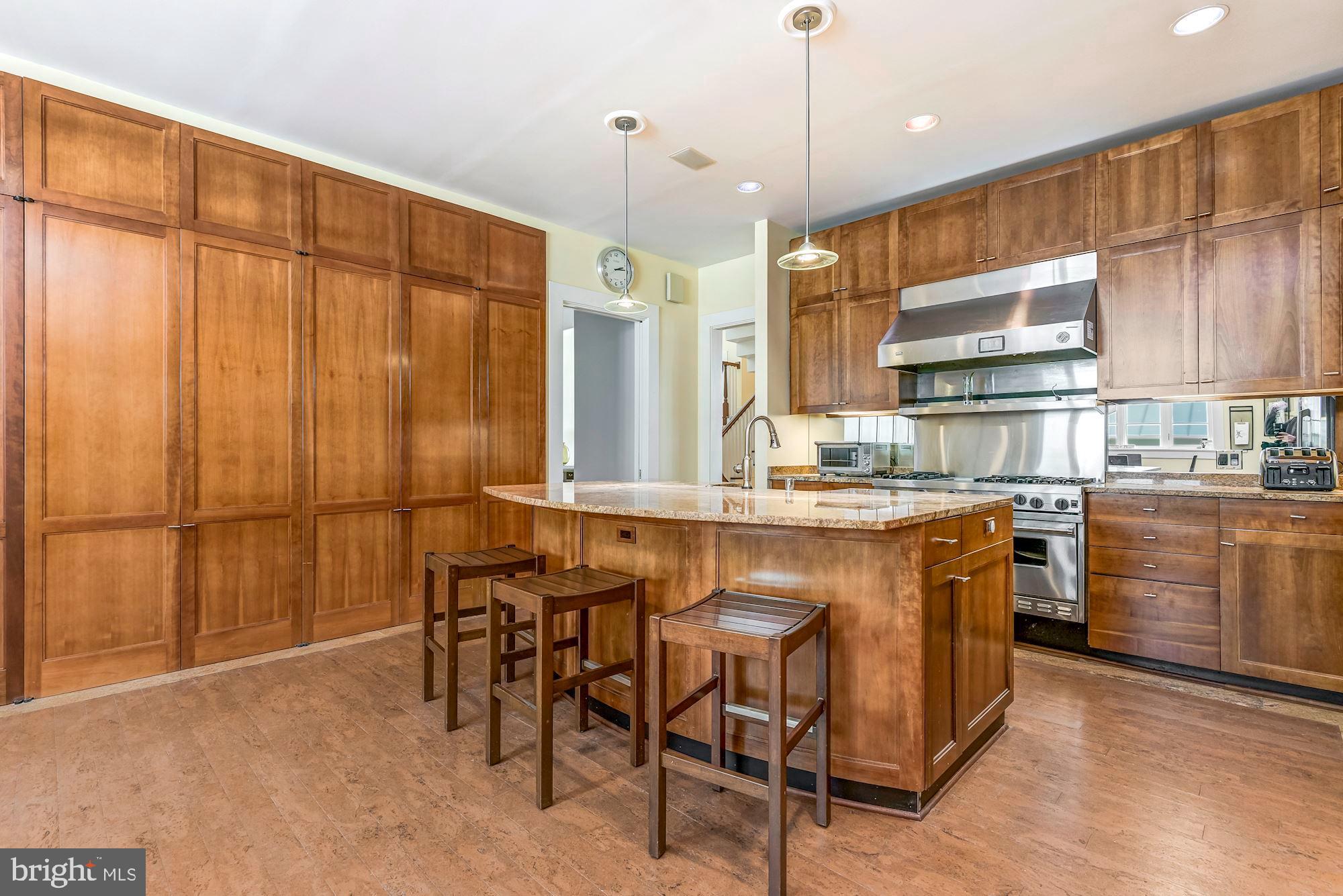 11031 Gaither Farm Road Ellicott City, MD 21042 - Photo 17 of 63 Stunning Kitchen