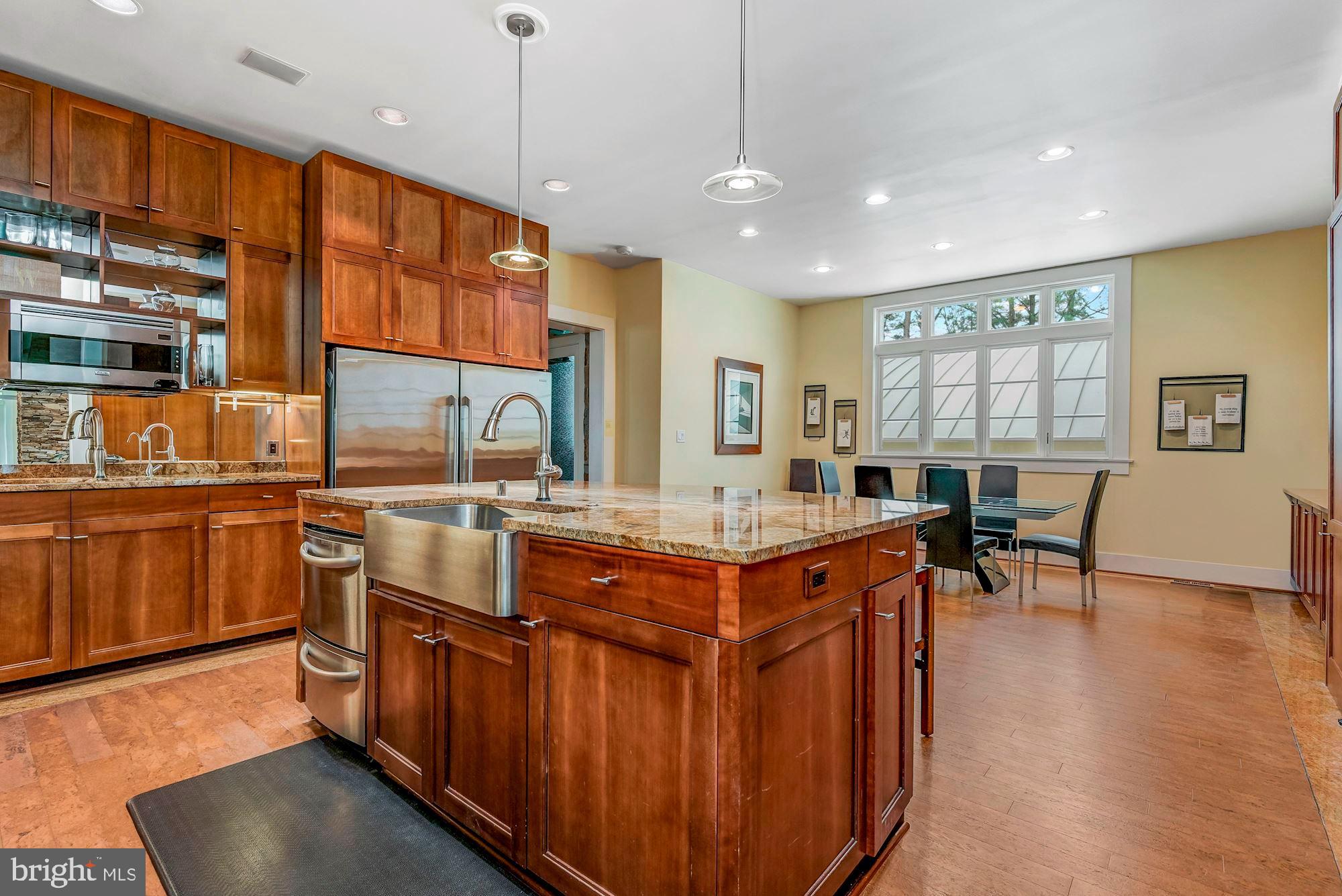 11031 Gaither Farm Road Ellicott City, MD 21042 - Photo 18 of 63 Stunning Kitchen