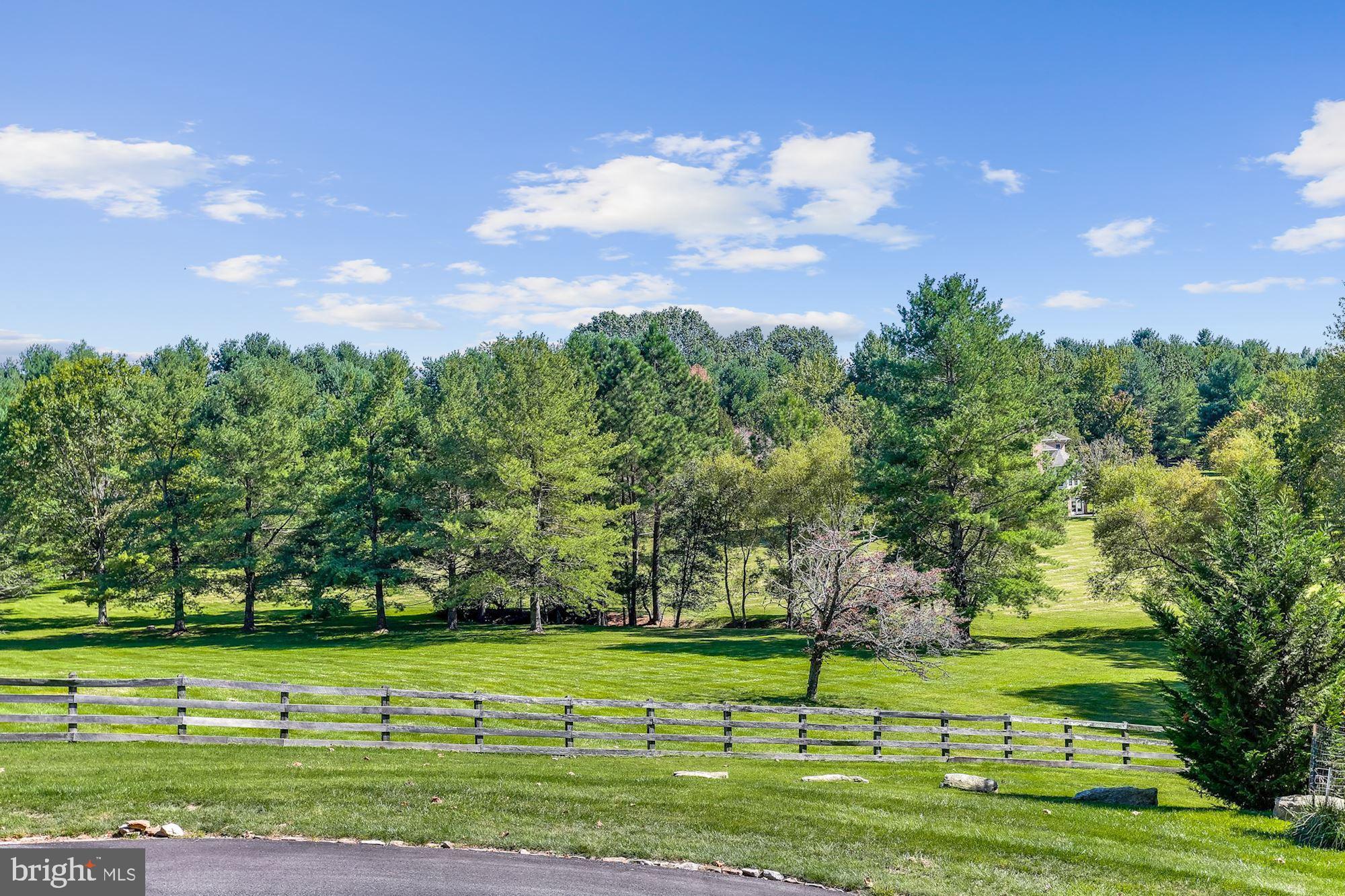 11031 Gaither Farm Road Ellicott City, MD 21042 - Photo 57 of 63 Magnificently Groomed Lot