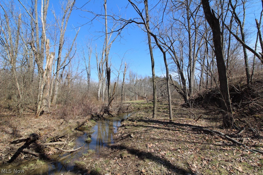 145 State Route Woodsfield, OH 43793 - Photo 5 of 31