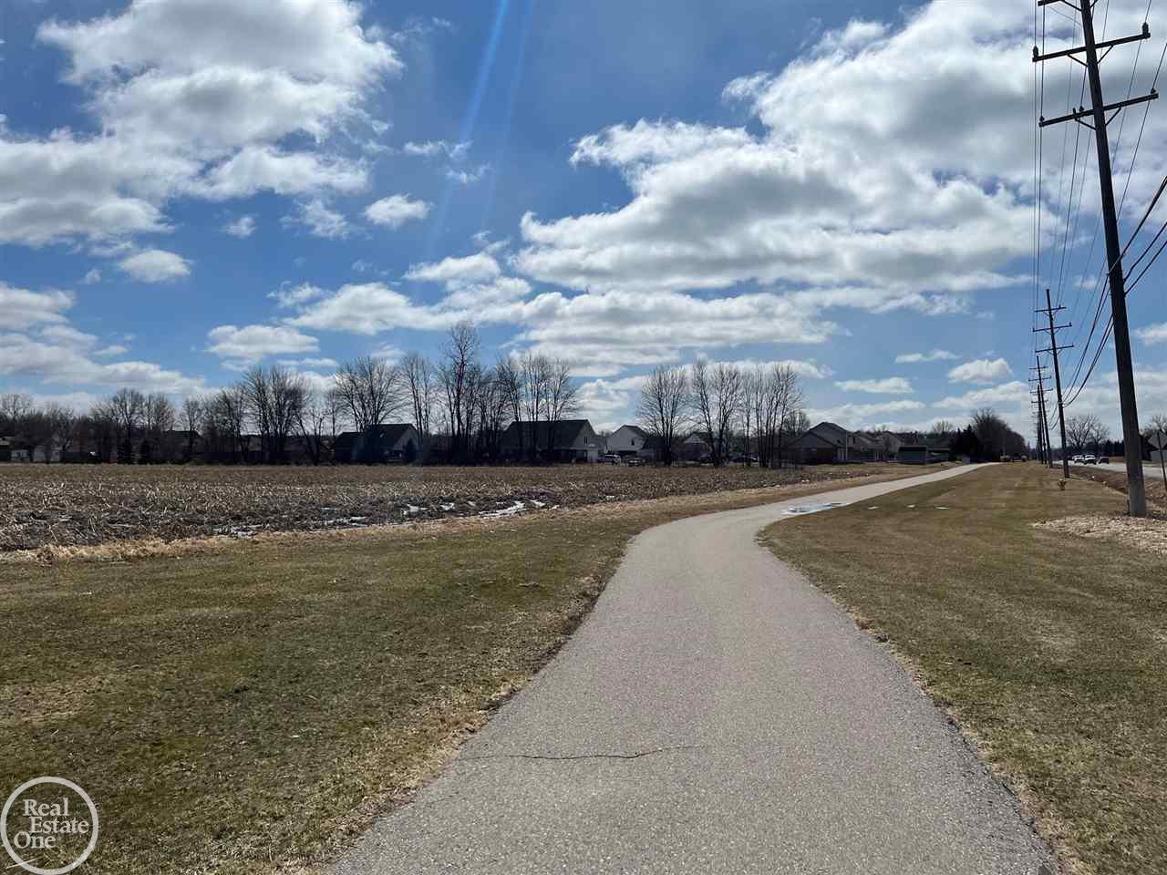 Vacant County Line Road New Baltimore, MI 48047 - Photo 1 of 4