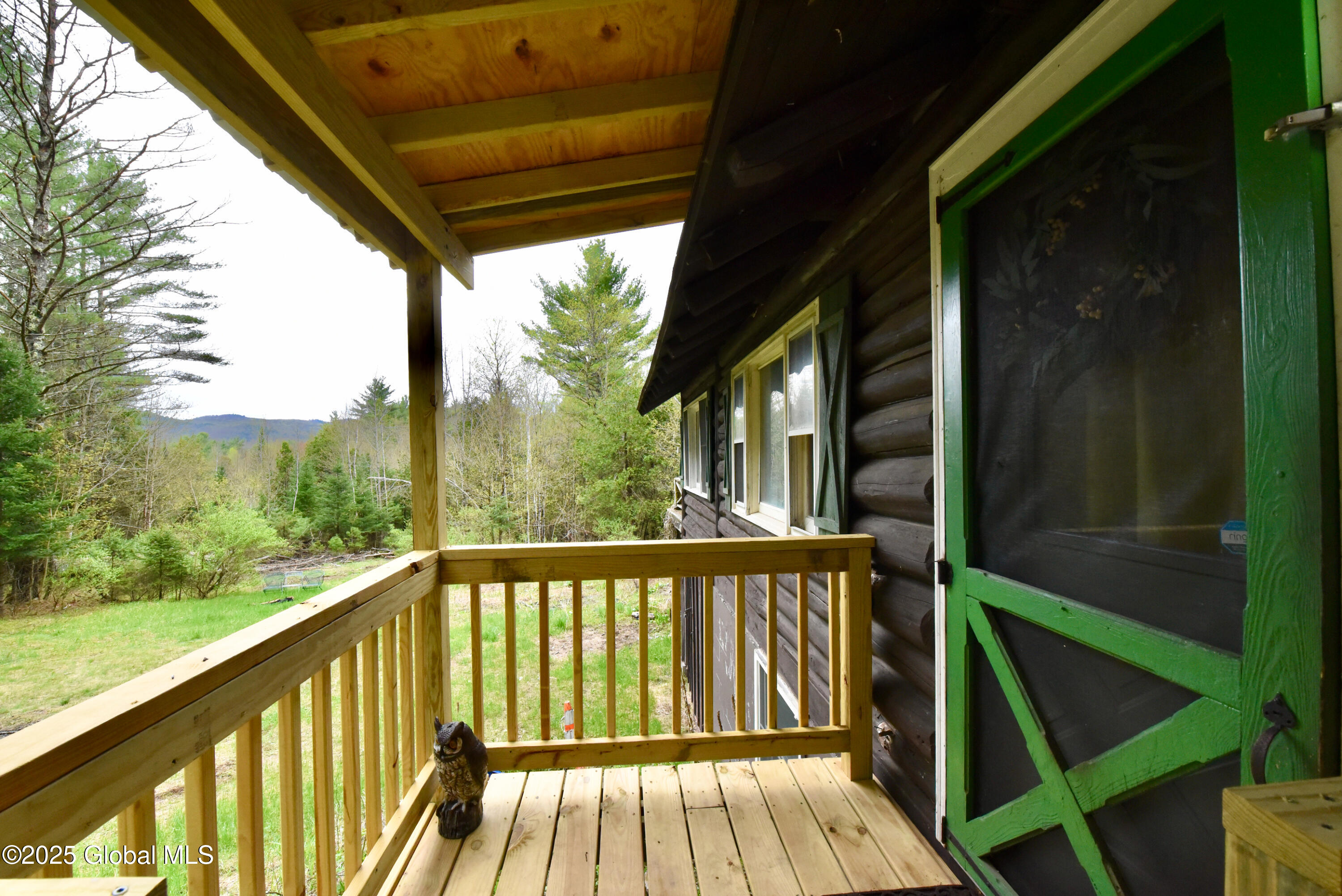 59 Irishtown Road Minerva, NY 12857 - Photo 4 of 57 4