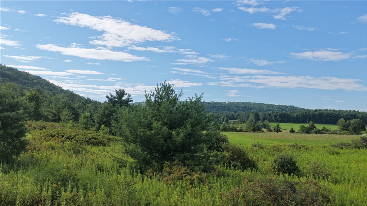 30 State Route Gilboa, NY 12076 - Photo 36 of 41 Gallery Image 36