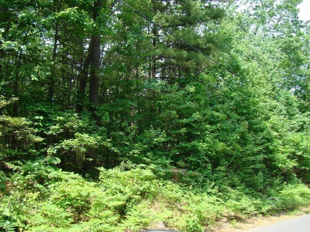 Lot 56-58 Secret Lake Road Phillipston, MA 01331 - Photo 4 of 15 Gallery Image 4