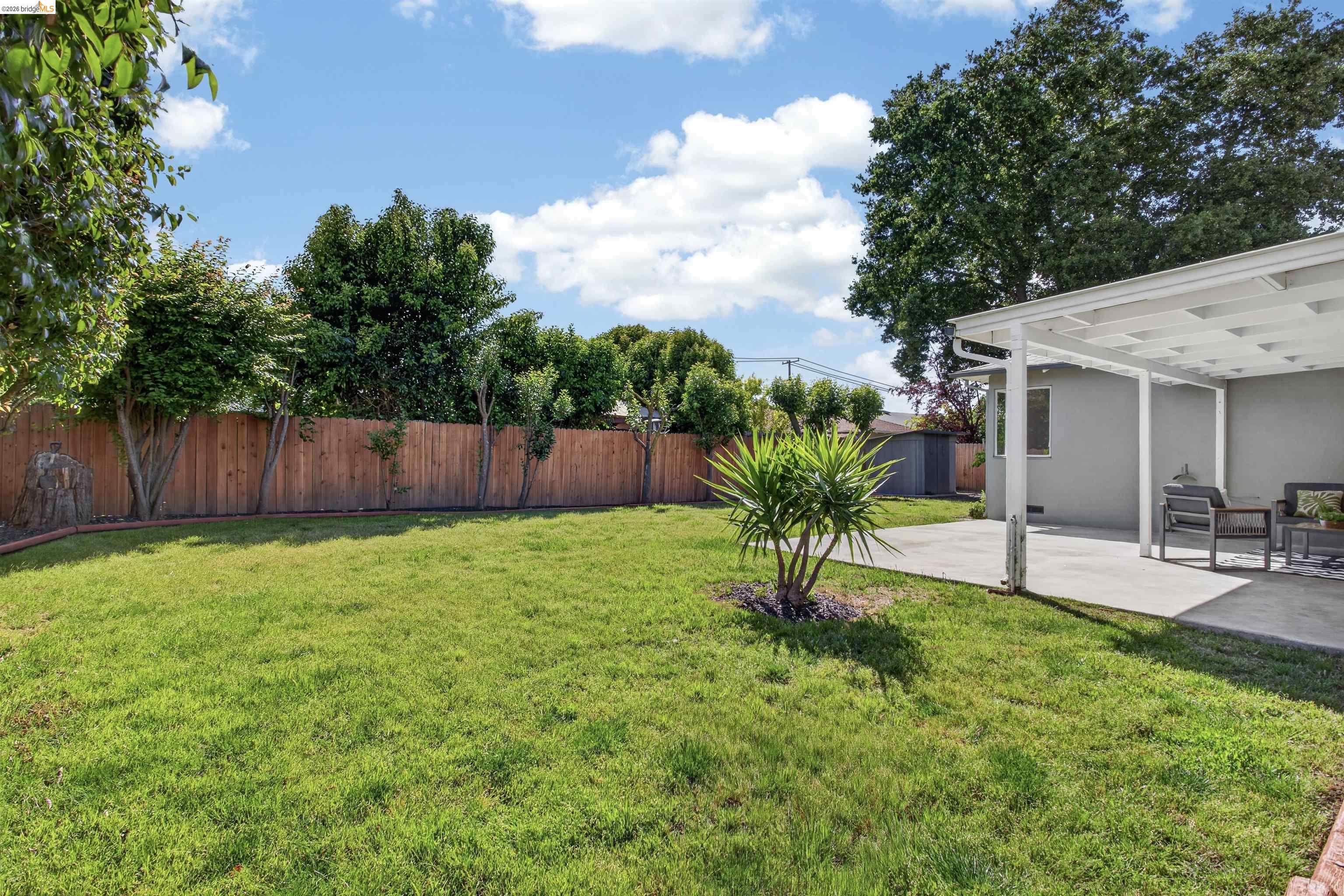 4321 Davis Way Livermore, CA 94550 - Photo 31 of 34 Expansive grassy yard with a concrete patio featuring a white pergola, bordered by a privacy fence and mature trees