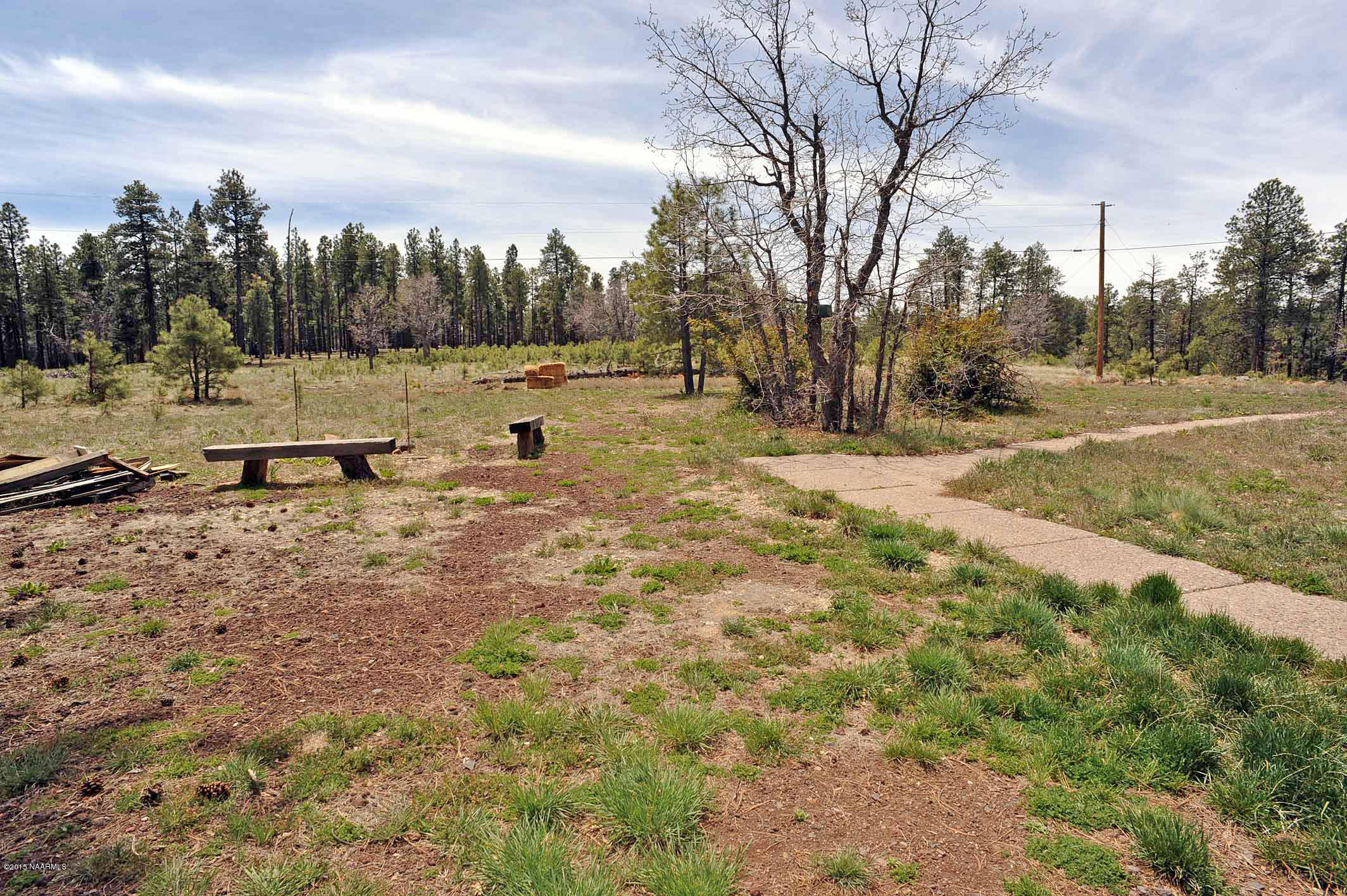 5803 Braeside Road Flagstaff, AZ 86005 - Photo 40 of 42 View from Caretaker's Quarters