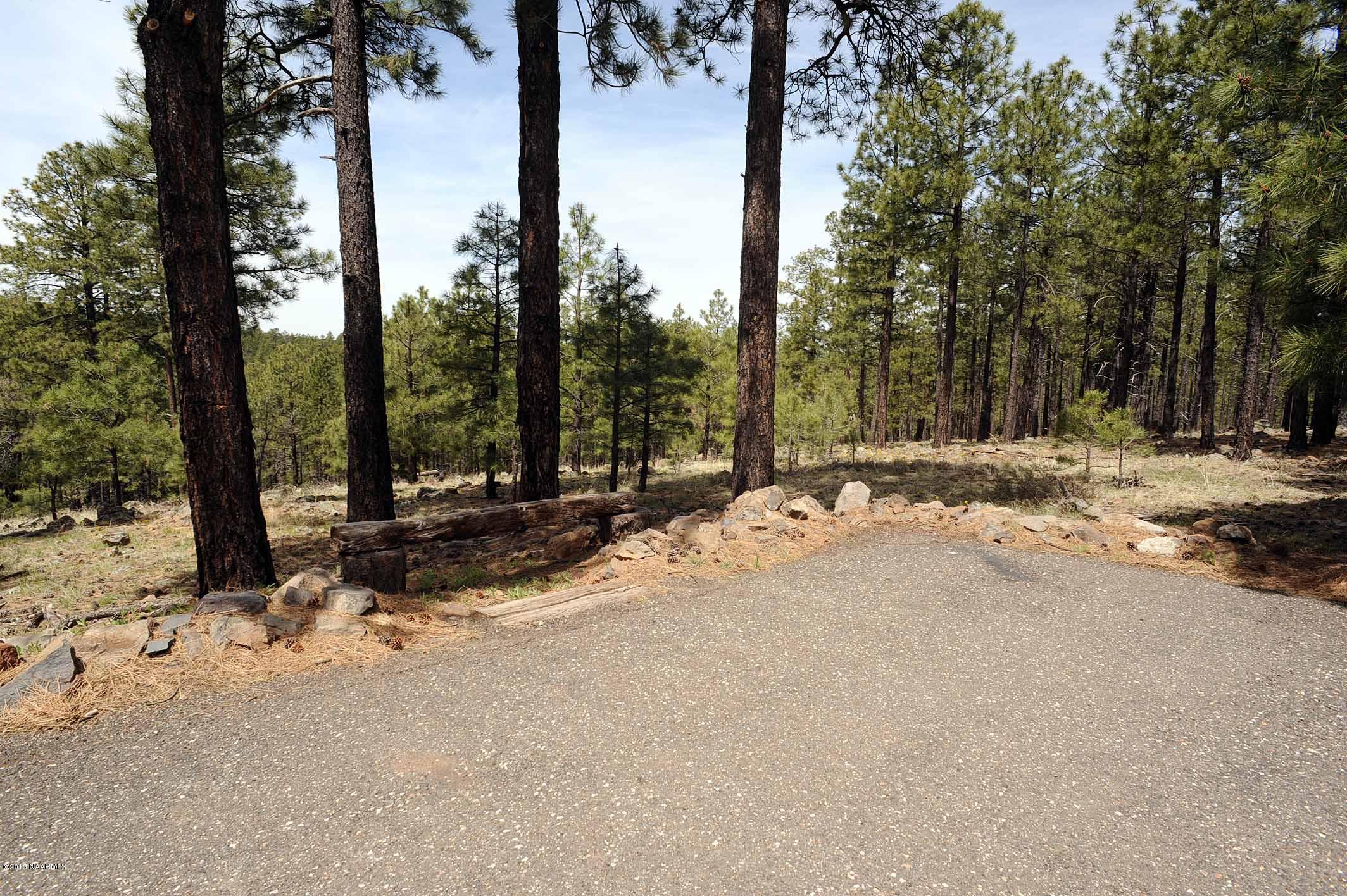 5803 Braeside Road Flagstaff, AZ 86005 - Photo 41 of 42 Property View