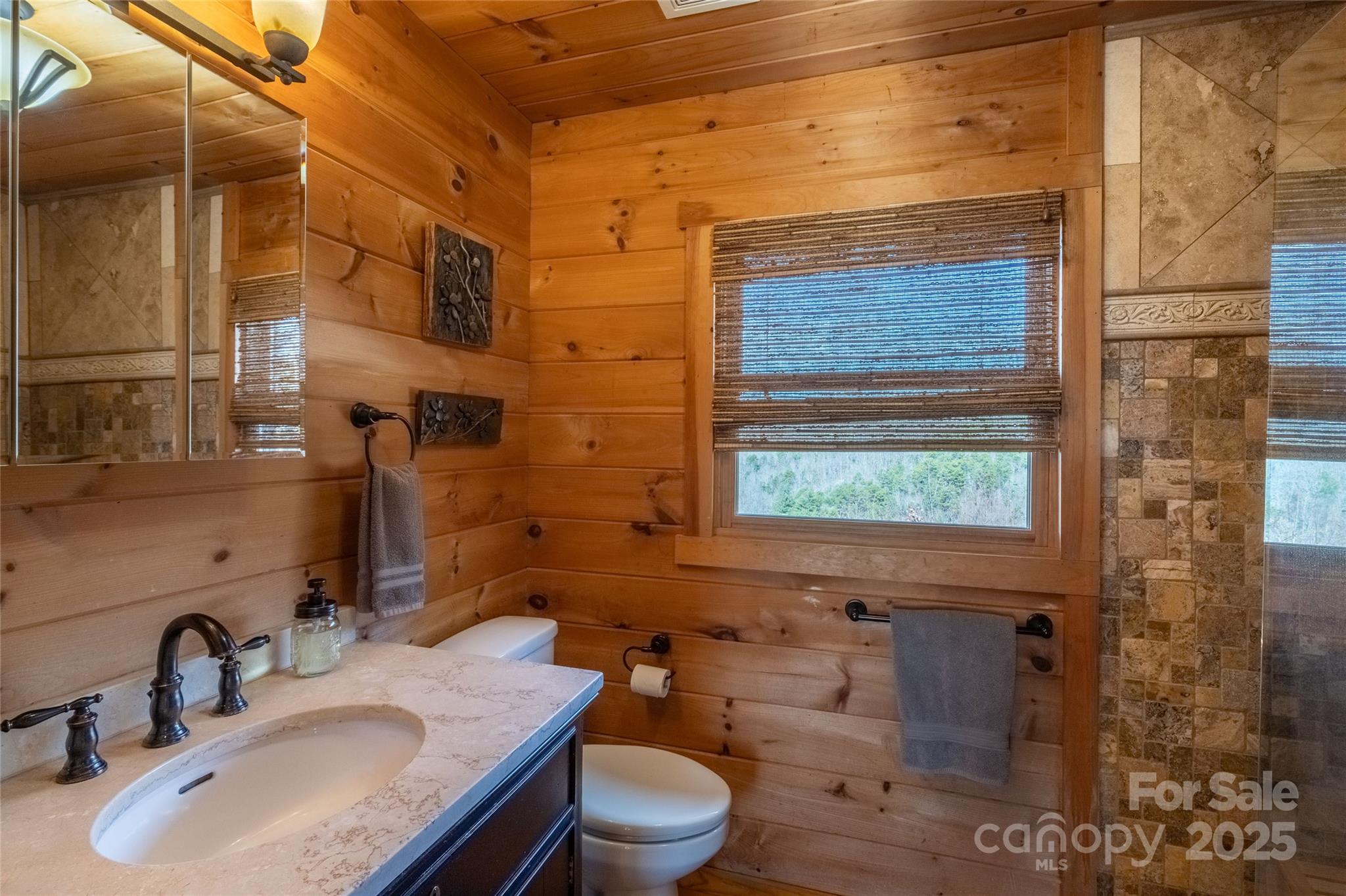 534 Eagles View Road Bryson City, NC 28713 - Photo 20 of 47 Gallery Image 20