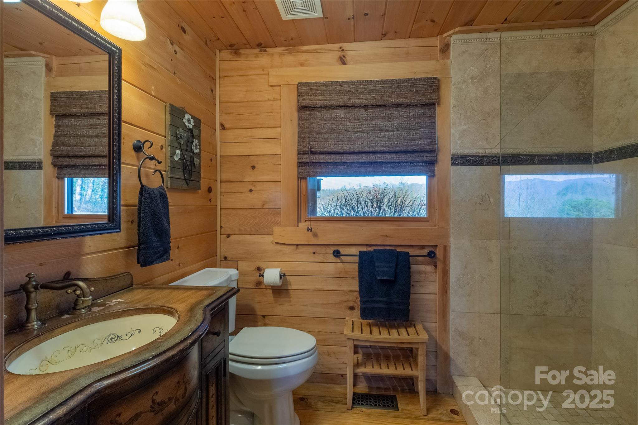 534 Eagles View Road Bryson City, NC 28713 - Photo 10 of 47 Gallery Image 10