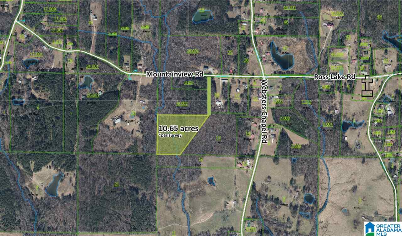 0 Mountainview Road, Unit 10 65 AC Wellington, AL 36279 - Photo 3 of 3