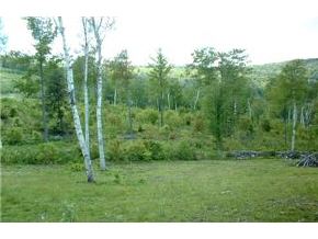 5 Eagle Ridge Drive Hebron, NH 03241 - Photo 3 of 9 Gallery Image 3