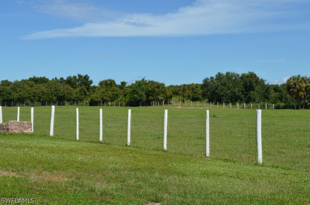 21951 Claytor Road Alva, FL 33920 - Photo 3 of 17 a backyard of a house with lots of green space