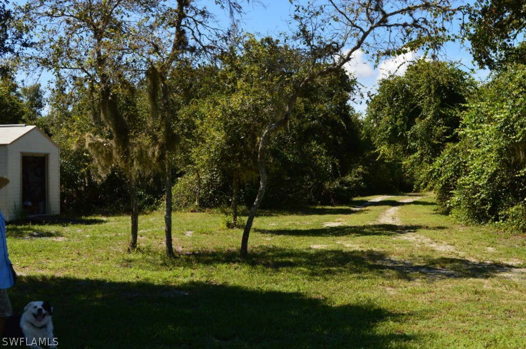 21951 Claytor Road Alva, FL 33920 - Photo 4 of 17 a view of swimming pool with a yard