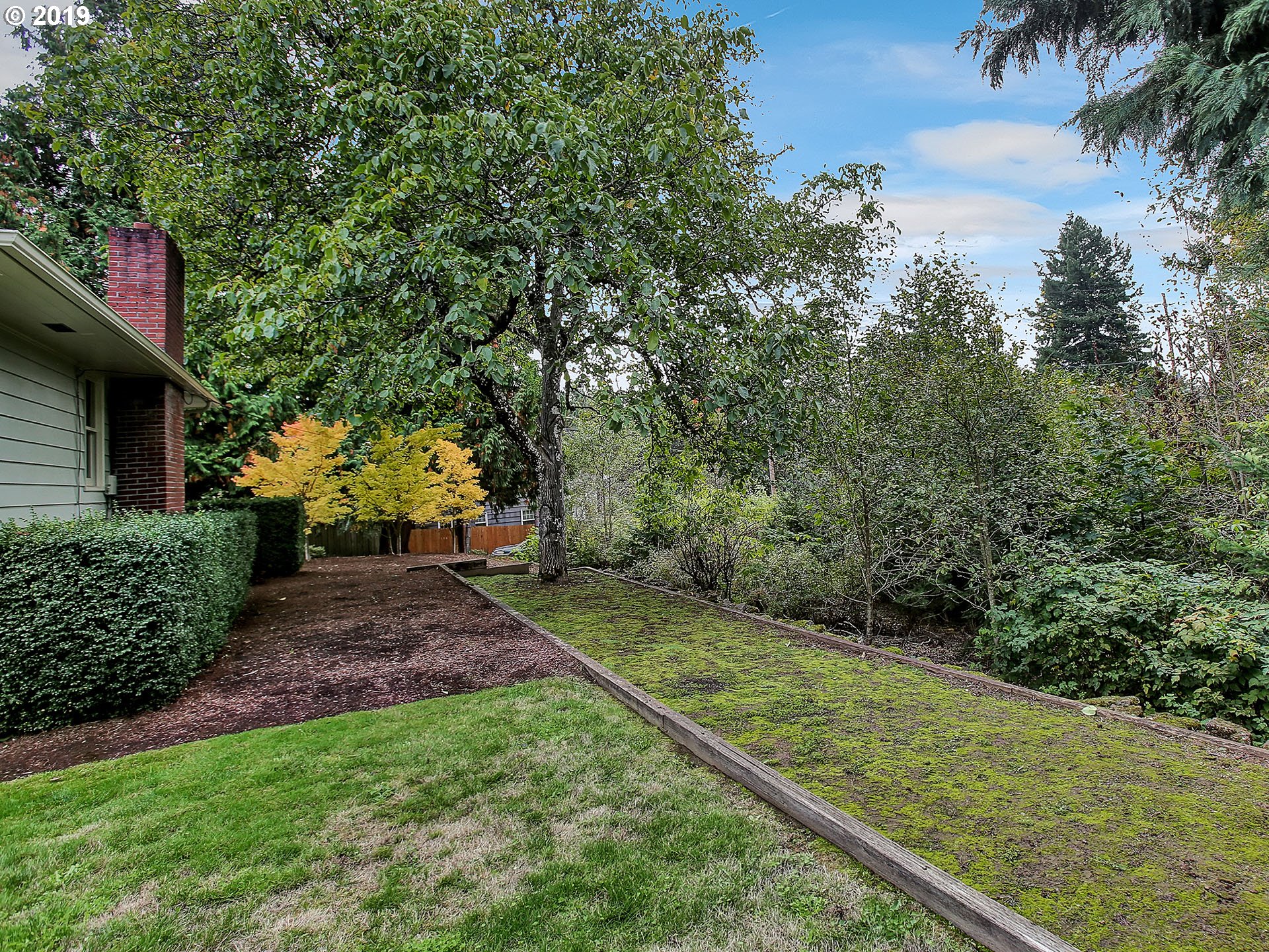 4119 Southwest Hamilton Street Portland, OR 97221 - Photo 26 of 29 a view of a backyard with plants and large trees
