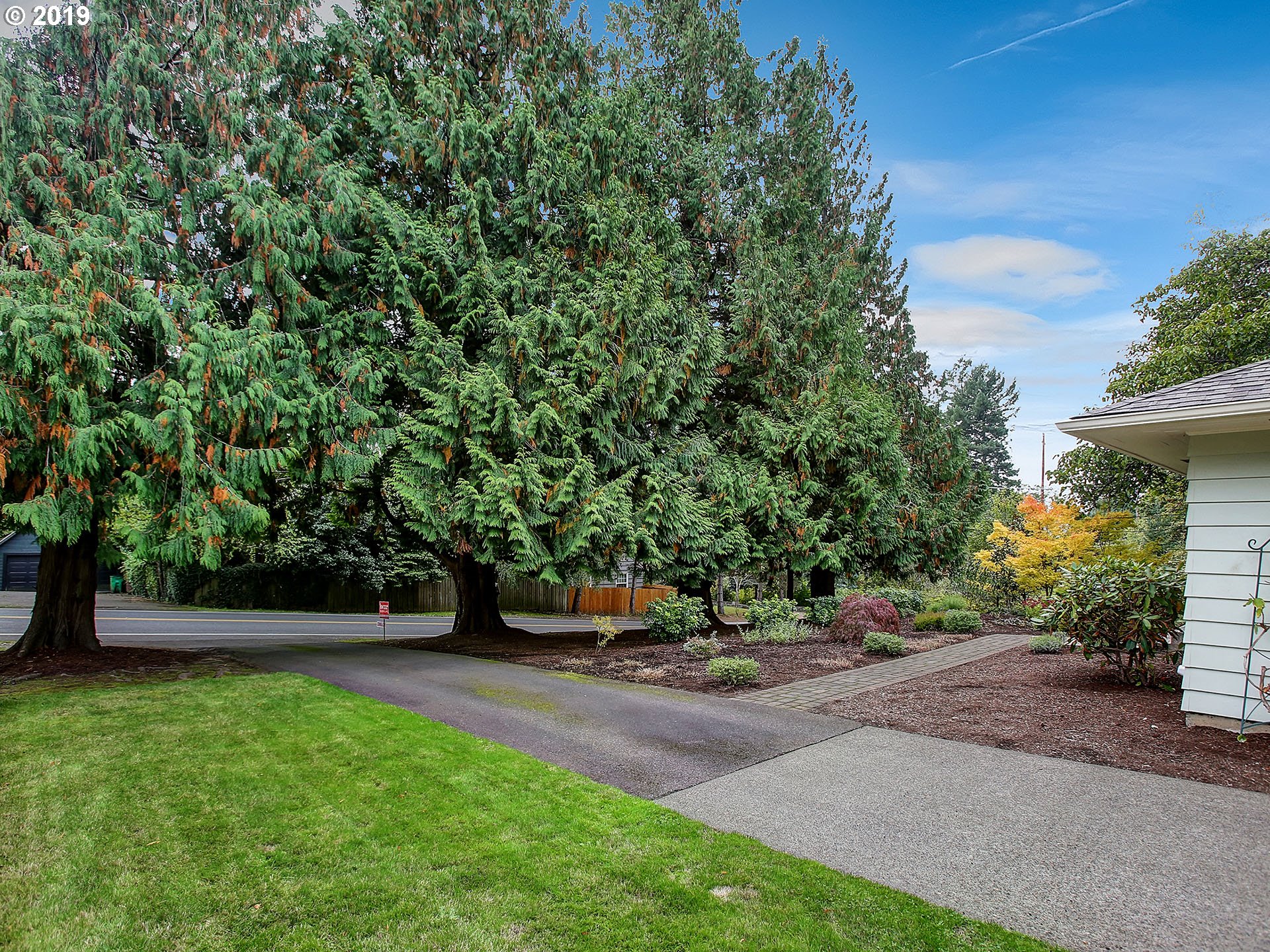 4119 Southwest Hamilton Street Portland, OR 97221 - Photo 28 of 29 a view of a yard with plants