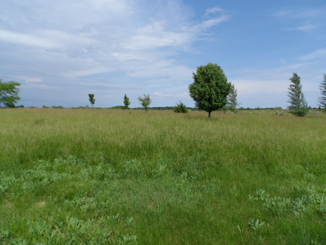3412 East 2250th Road Ottawa, IL 61350 - Photo 5 of 16