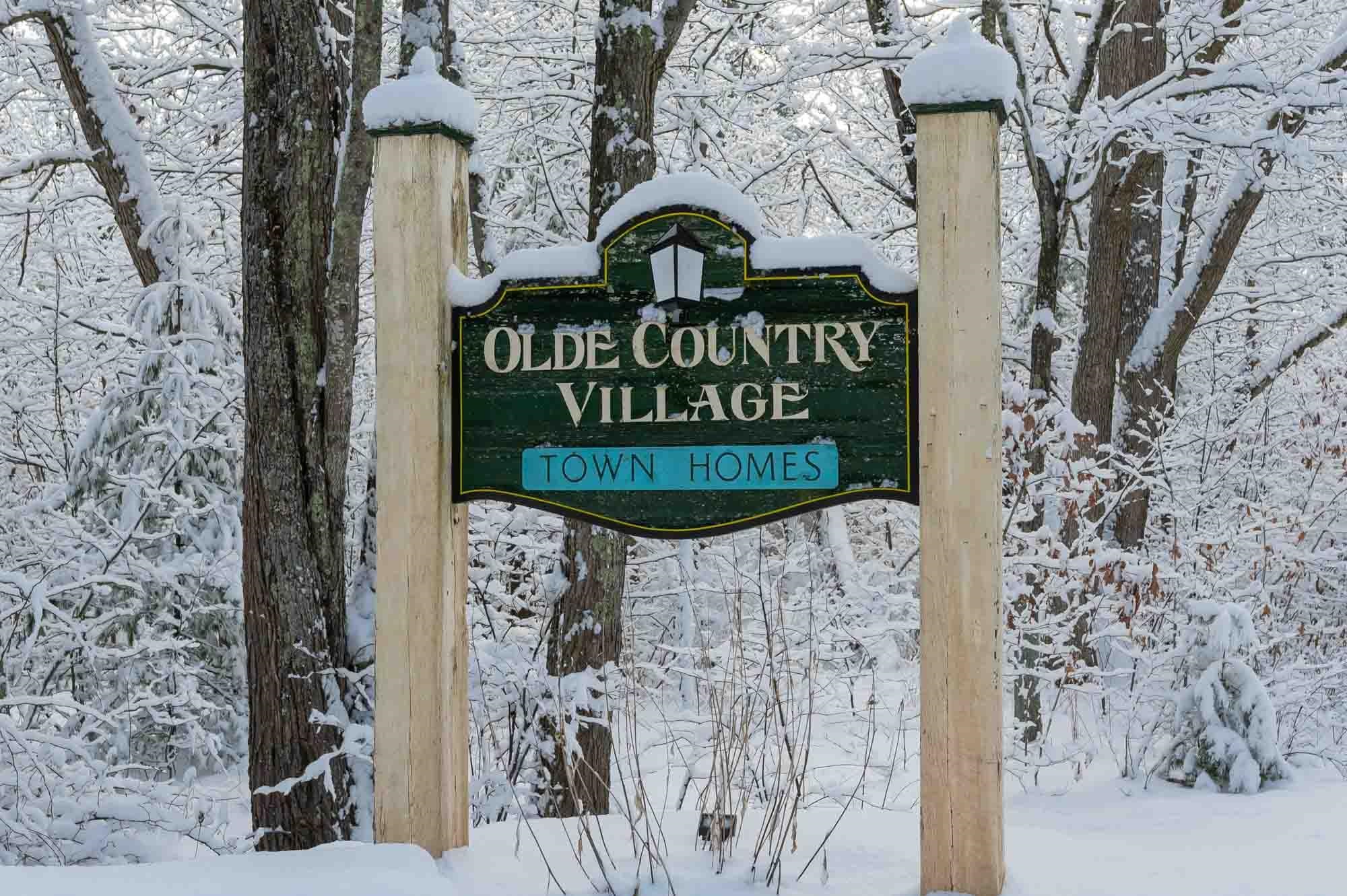 22 Olde Country Village Road Londonderry, NH 03053 - Photo 2 of 53