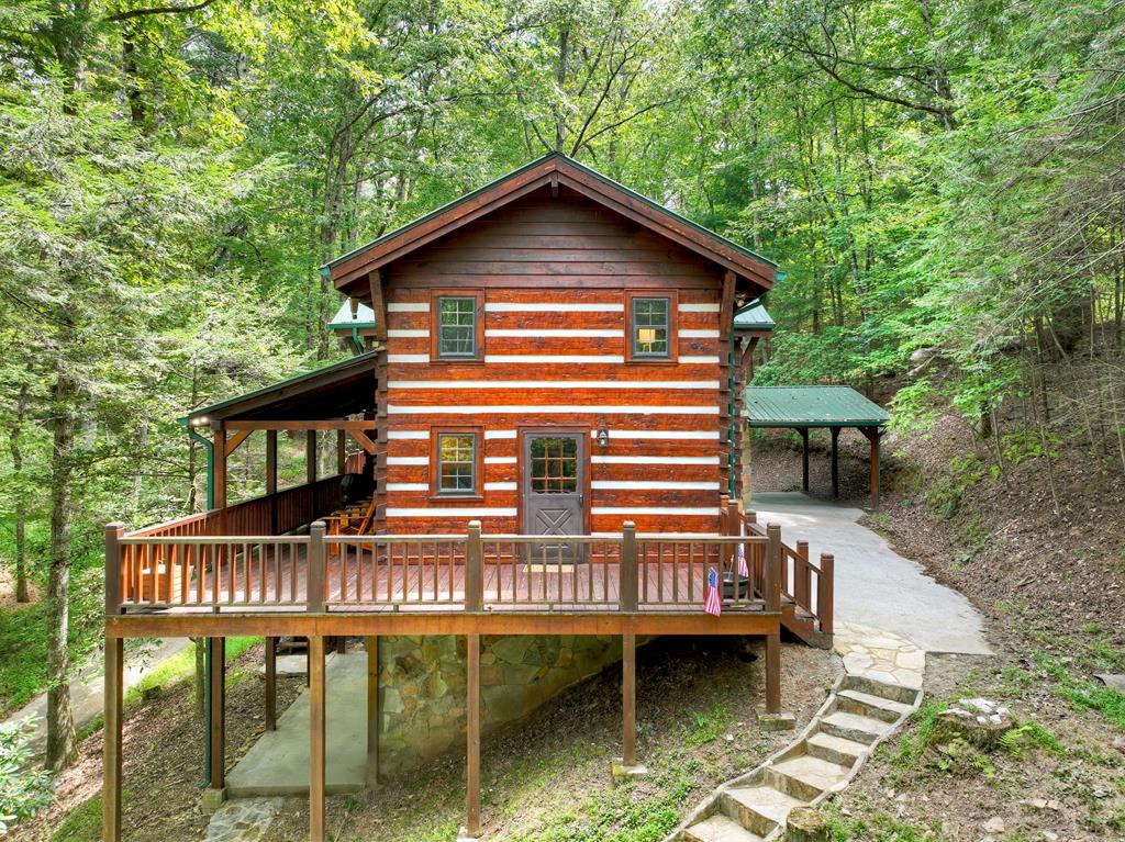 553 Indian Cave Road Ellijay, GA 30536 - Photo 3 of 46 Gallery Image 3