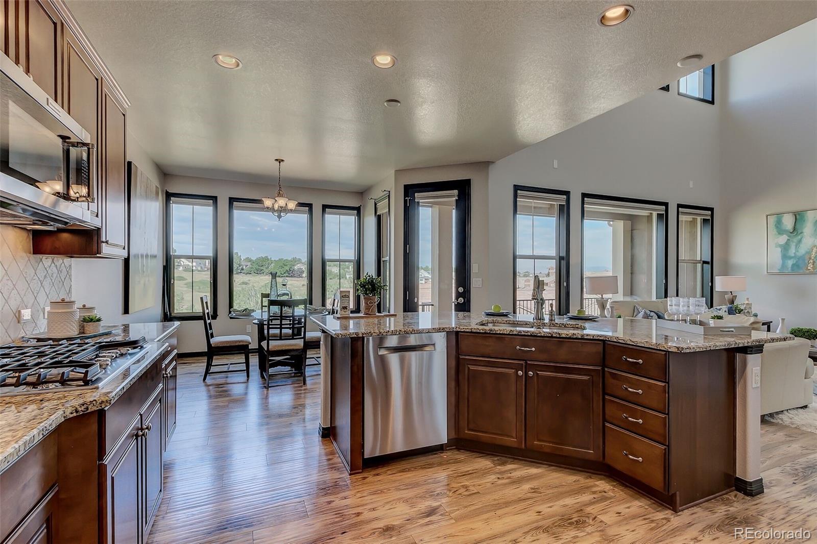 9565 Firenze Way Highlands Ranch, CO 80126 - Photo 9 of 36 Gallery Image 9