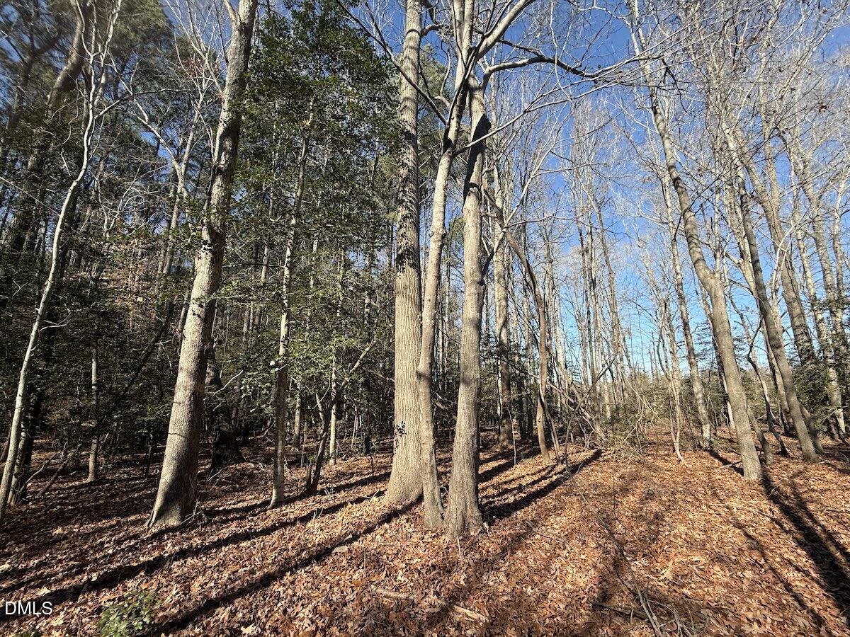 1012 South Halifax Road Rocky Mount, NC 27803 - Photo 16 of 41 a view of a pathway of a house