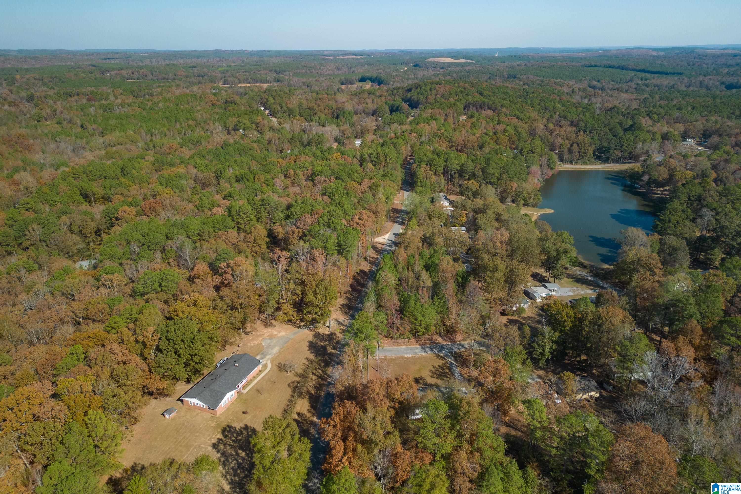 13026 Hobby Horse Road Vance, AL 35490 - Photo 42 of 48