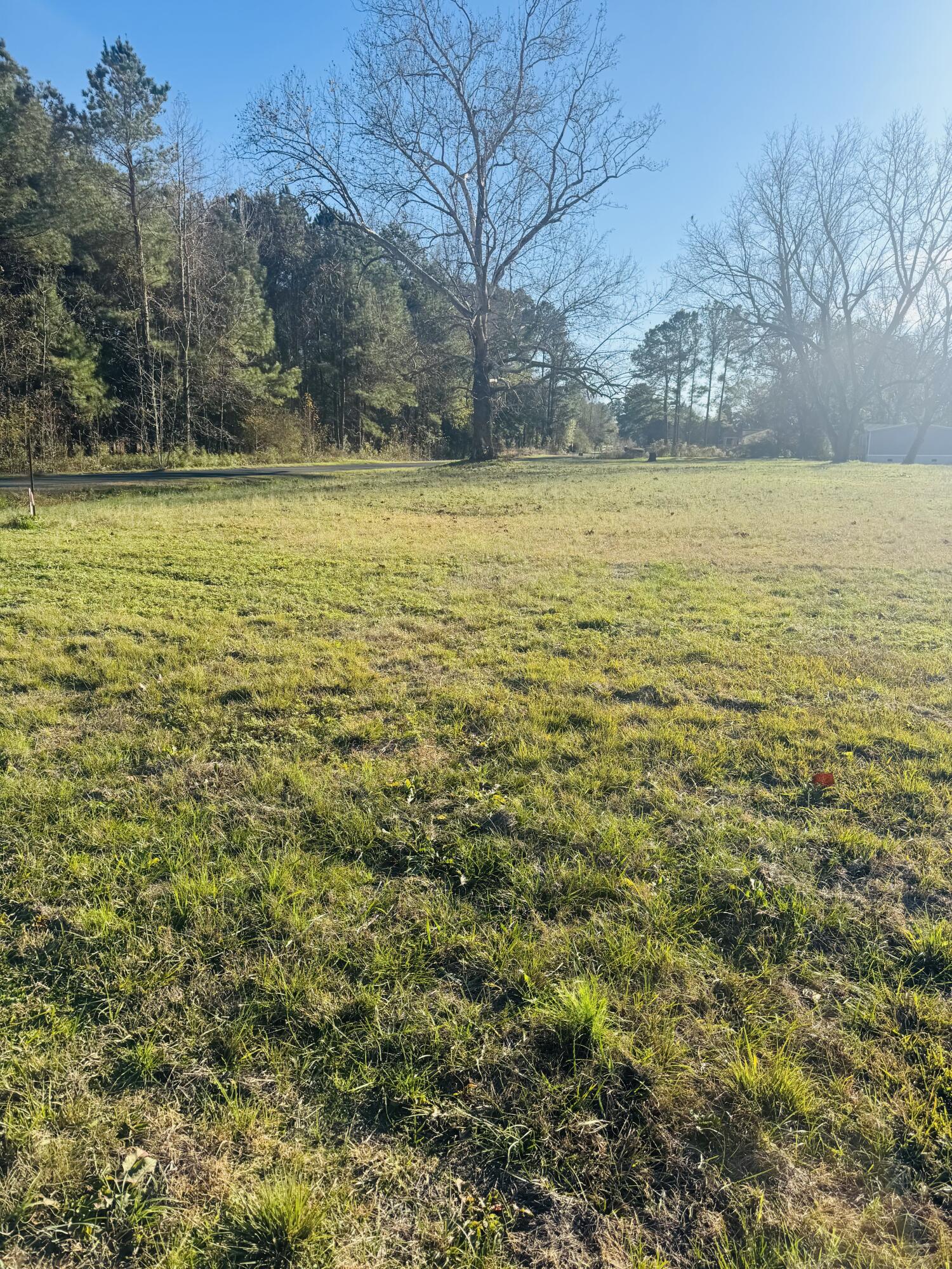 0 Bishopville Road St. George, SC 29477 - Photo 6 of 11