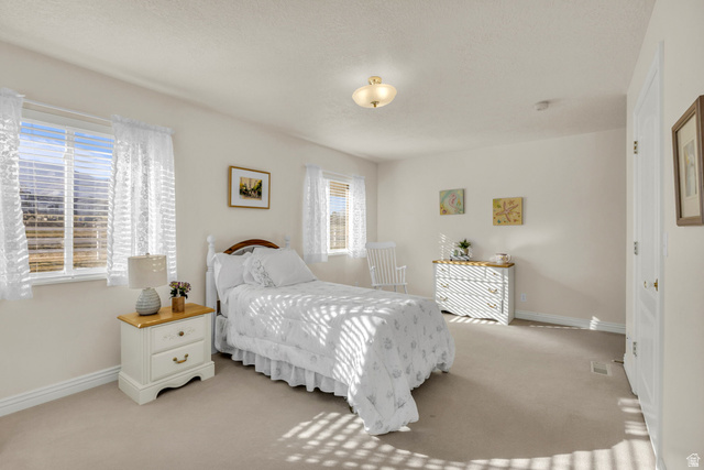 1060 West 2620th Street South Mapleton, UT 84664 - Photo 42 of 87 Bedroom featuring light colored carpet and a textured ceiling