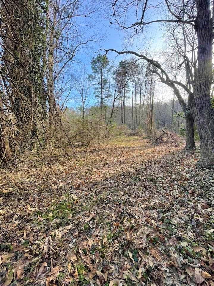700 New Market Road Tryon, NC 28782 - Photo 21 of 44 a backyard of a house with lots of green space