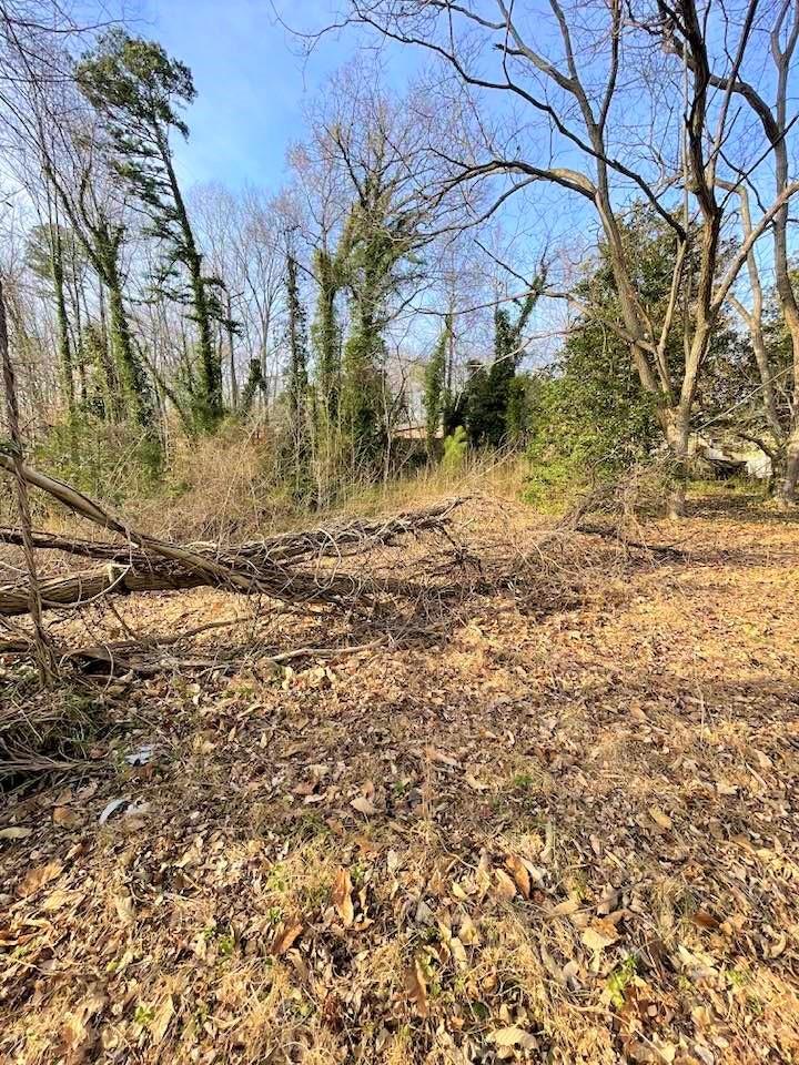 700 New Market Road Tryon, NC 28782 - Photo 24 of 44 a backyard of a house with lots of green space