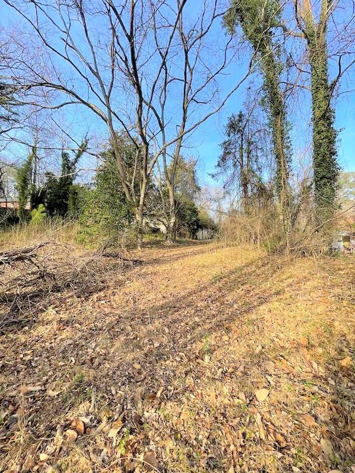 700 New Market Road Tryon, NC 28782 - Photo 26 of 44 a view of yard with trees