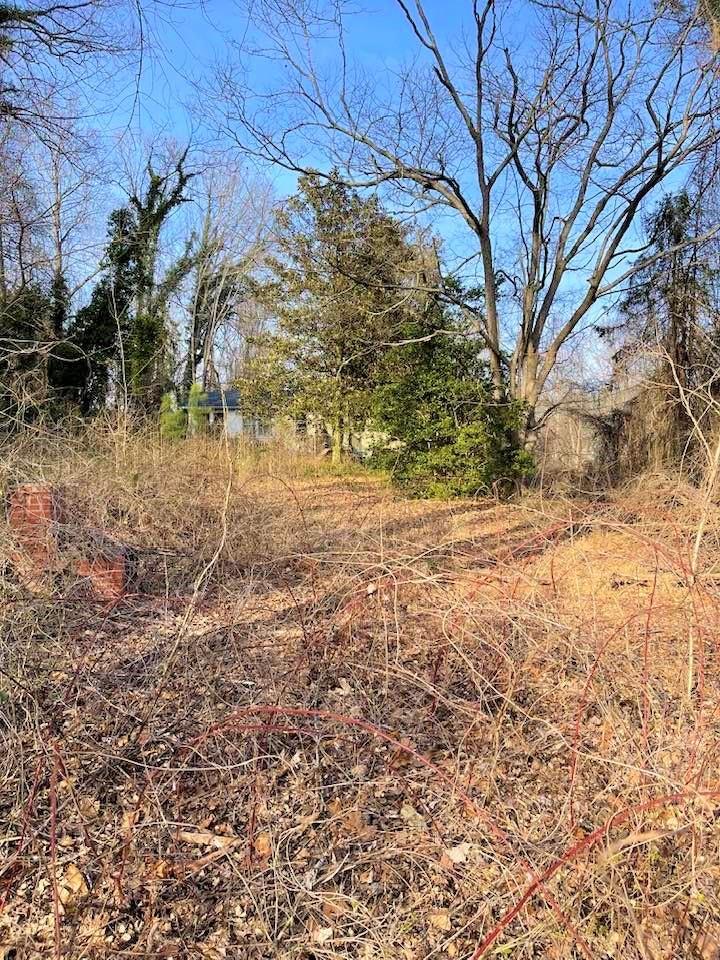 700 New Market Road Tryon, NC 28782 - Photo 27 of 44 a view of yard covered with snow