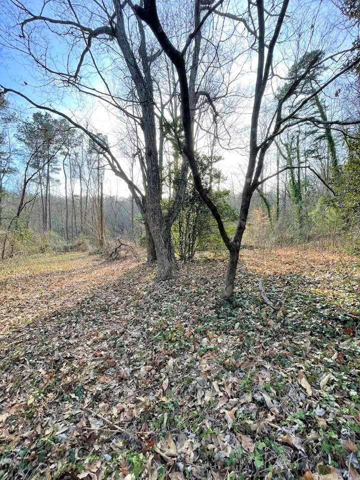 700 New Market Road Tryon, NC 28782 - Photo 3 of 44 a view of a yard with a tree